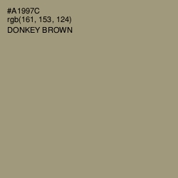 #A1997C - Donkey Brown Color Image